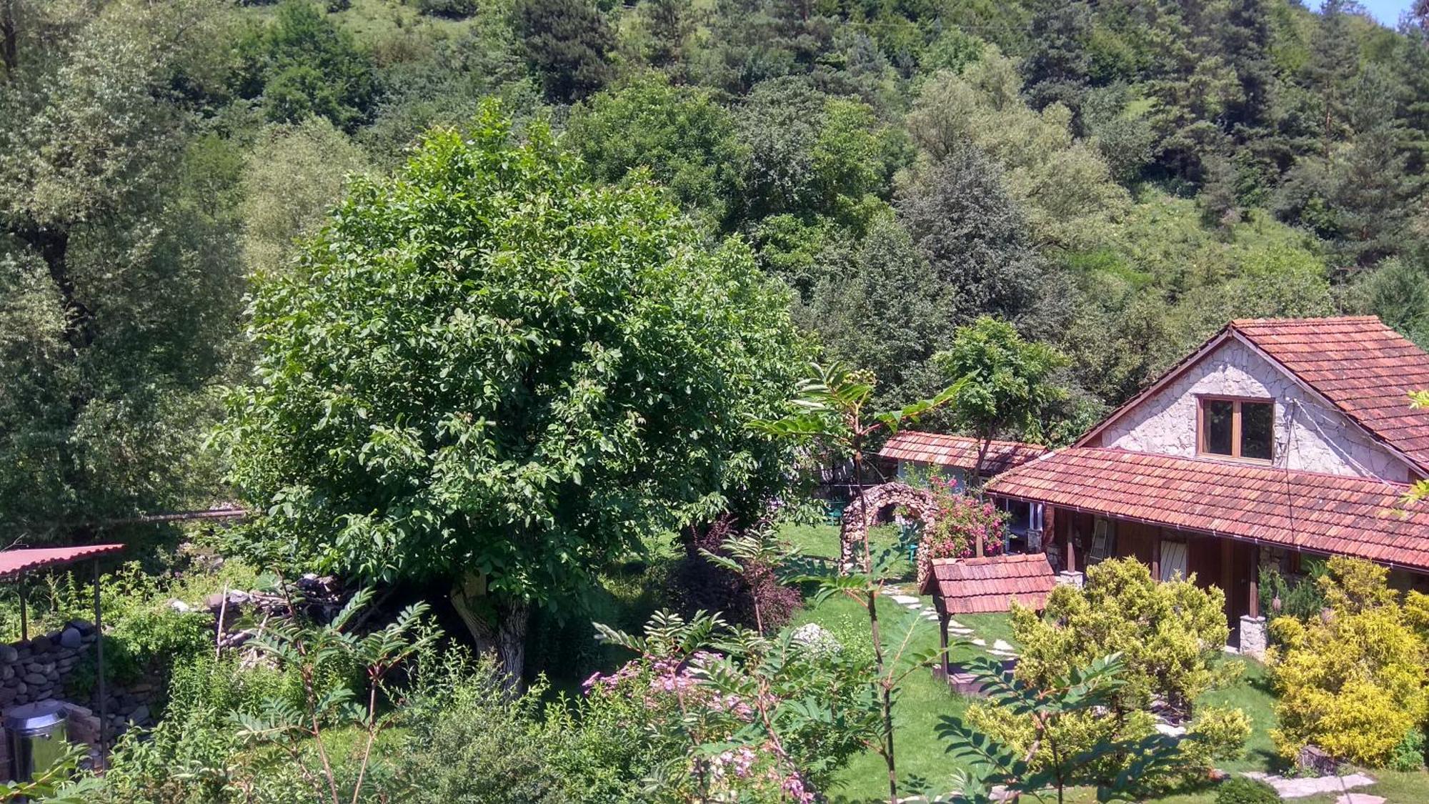 Bed and Breakfast Eco Garden Дилижан Экстерьер фото