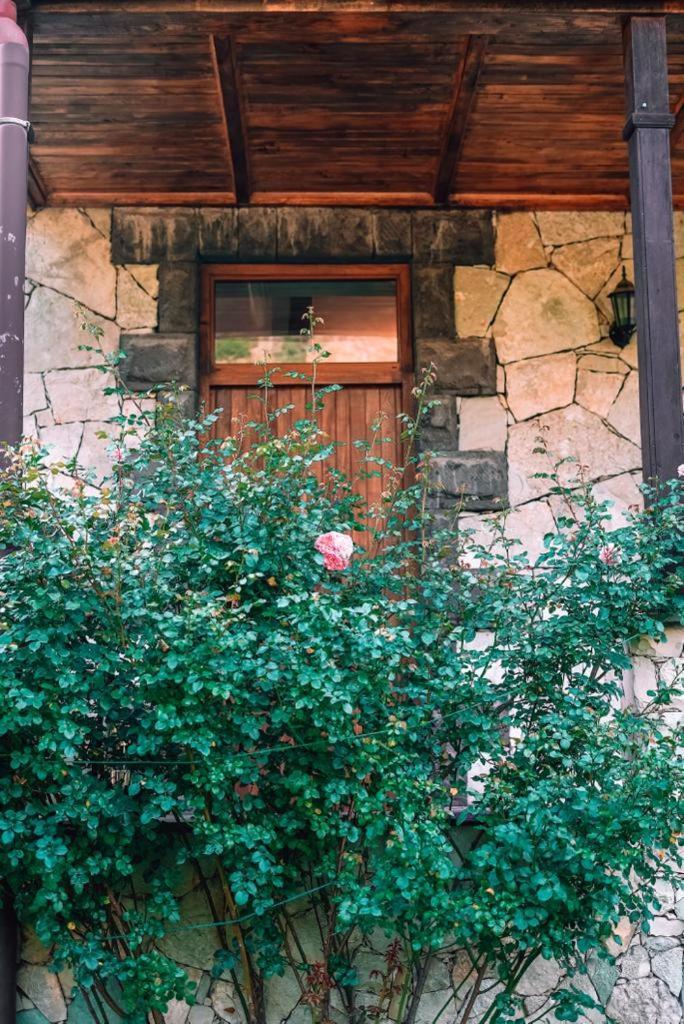 Bed and Breakfast Eco Garden Дилижан Экстерьер фото