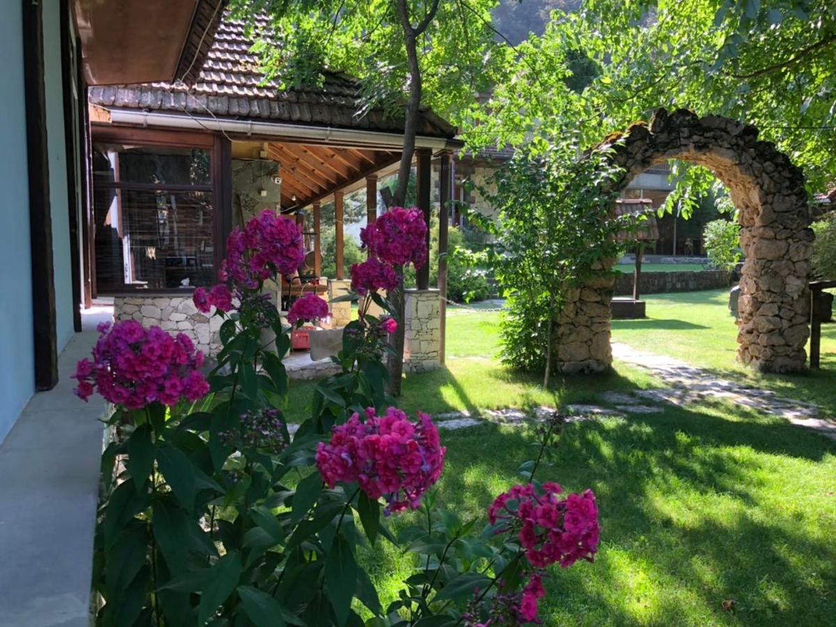 Bed and Breakfast Eco Garden Дилижан Экстерьер фото
